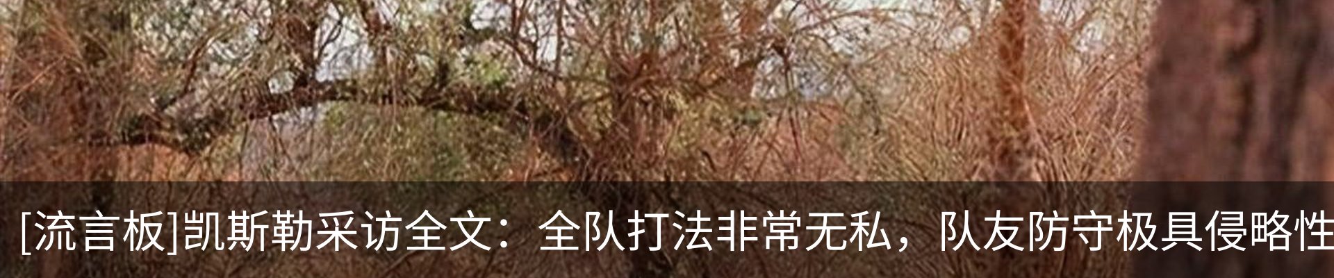 资讯中心